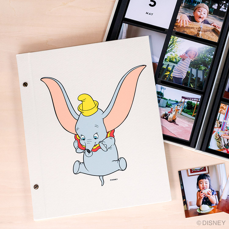 ALBUSBOOK ディズニー