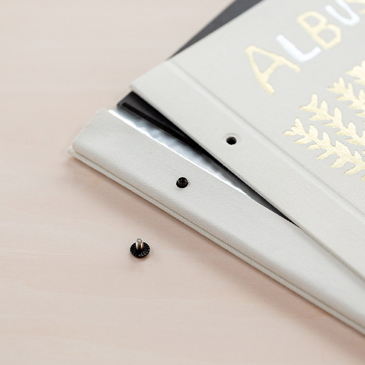 ALBUSBOOK ミロコマチコ
