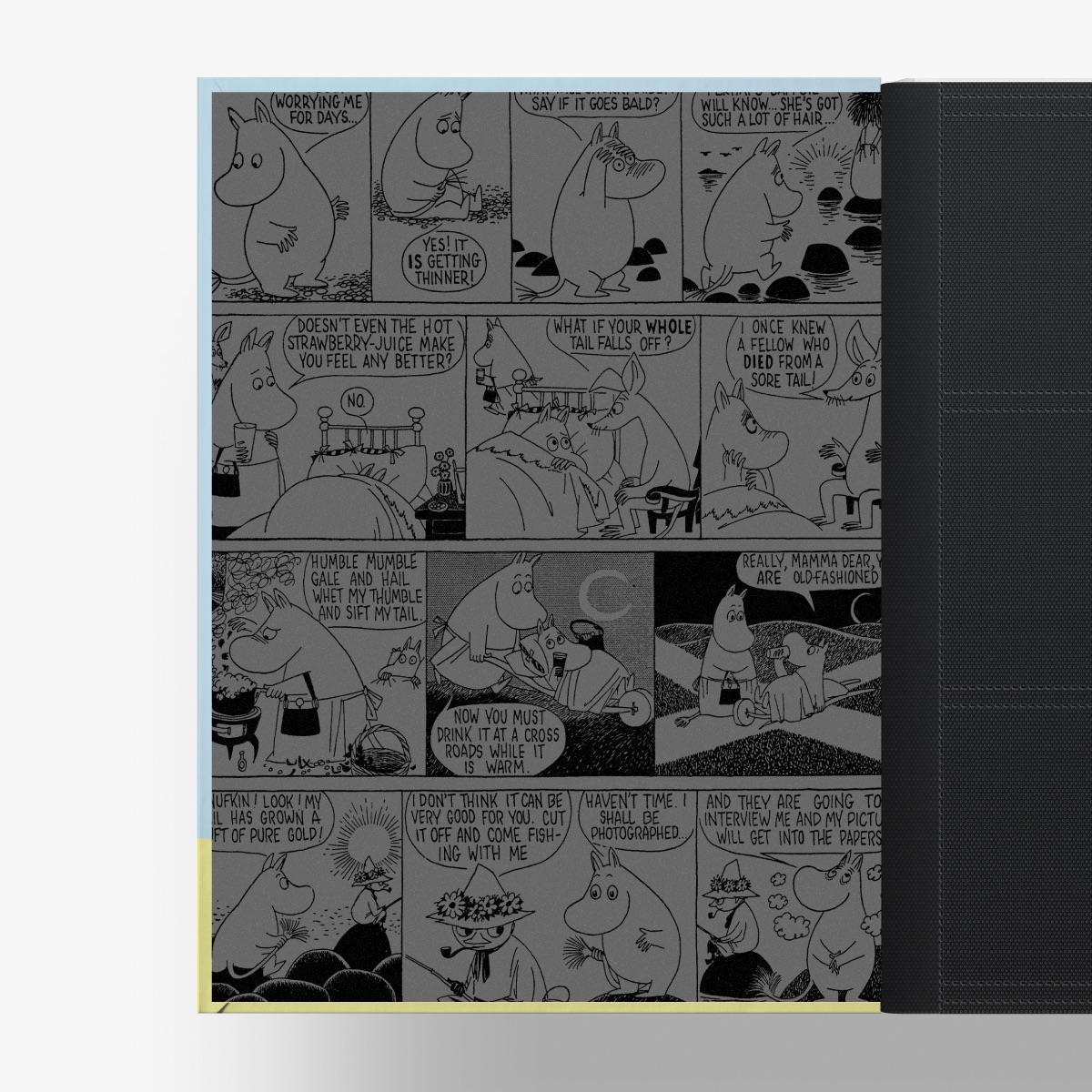 見返しは黒地にシルバーの印刷、コミックスの場面で構成したパターンが映えます。